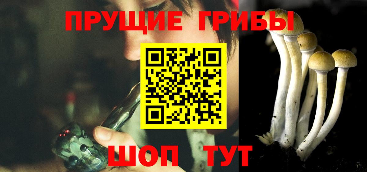 Галлюциногенные грибы Psilocybine cubensis  Вход с VPN  Тольятти 
