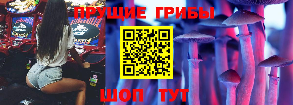 Галлюциногенные грибы GOLDEN TEACHER Тольятти